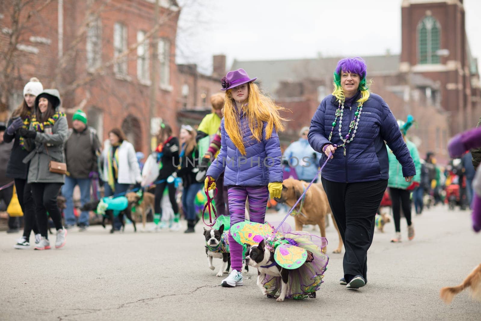 St. Louis, Missouri, USA - February 04, 2018, The Beggin’ Pet Parade is part the Soulard neighborhood Mardi gras celebrations in St. Louis, and it consist of dogs in costume and their owners marching down the streets in the neighborhood.