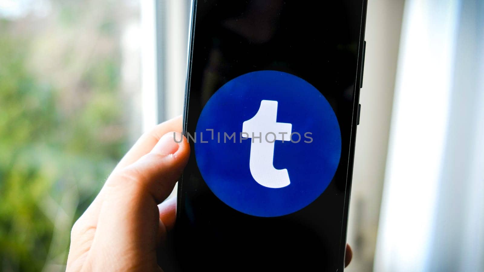 use Tumblr app on smartphone hand in Bologna, Italy, 08 March 2019