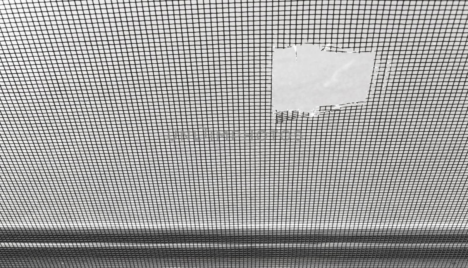 Closeup of a damaged mosquito screen.