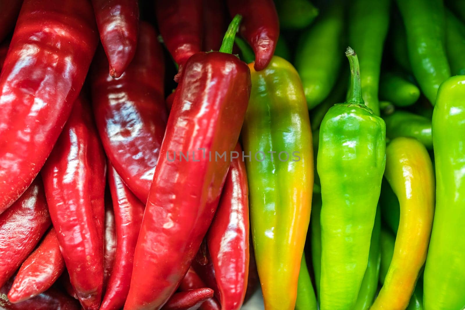 Bunch of green and red hot chillies on sale in the market stand