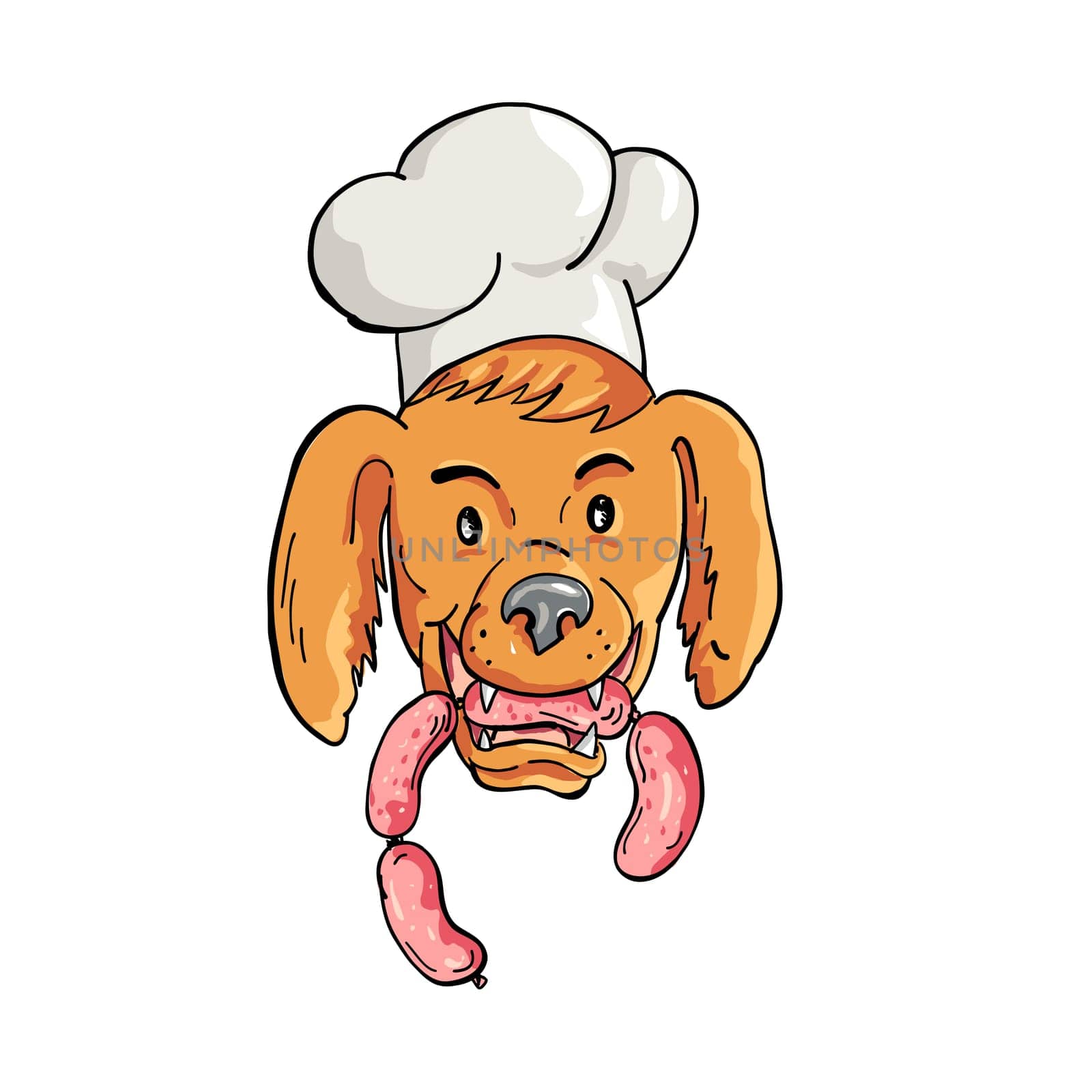 Cartoon style illustration of an Irish Setter dog wearing chef, baker or cook hat biting a sausage string viewed from front on isolated background.