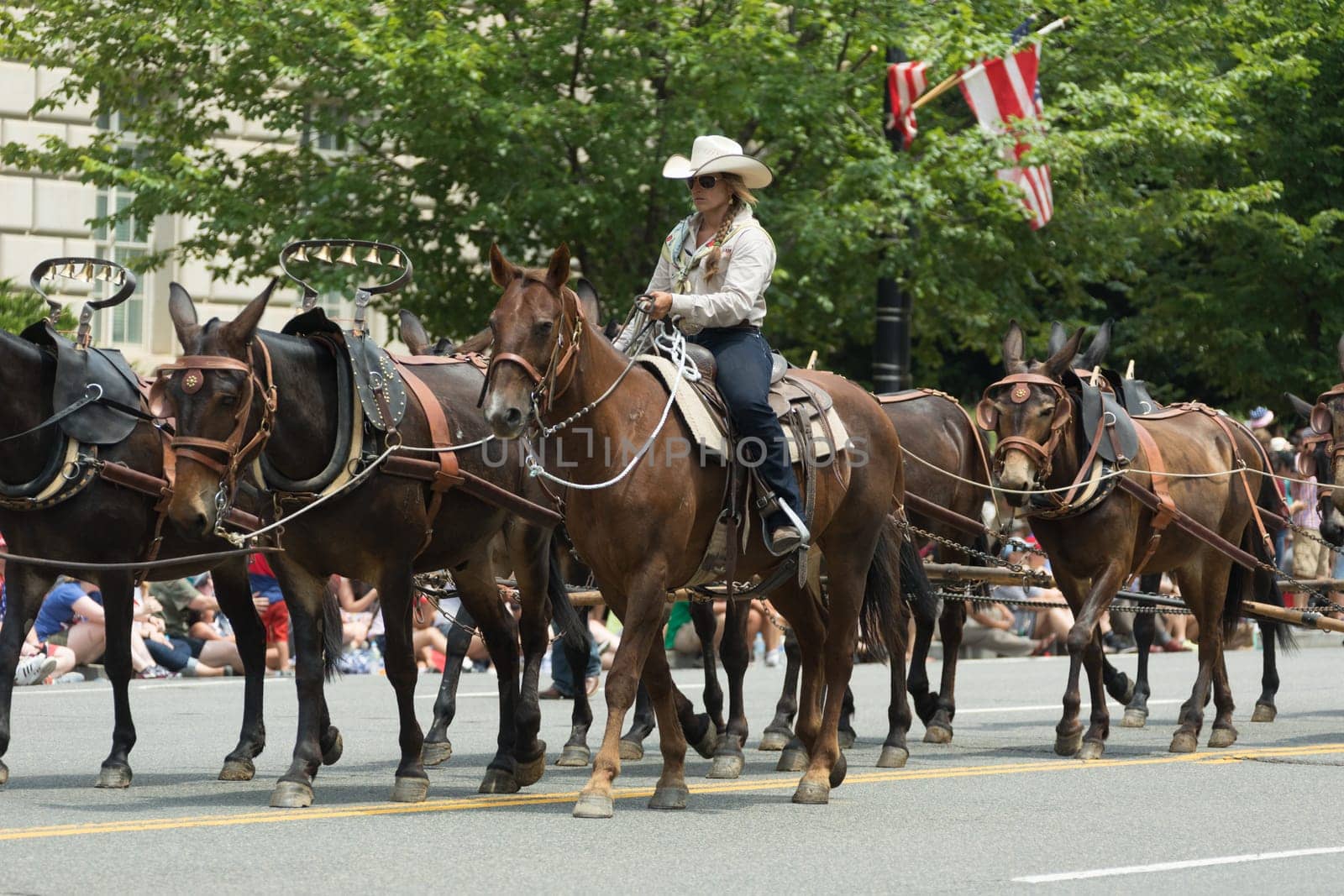Washington, D.C., USA - July 4, 2017, The National Independence Day Parade is the  Fourth of July Parade in the capital of the United States, it  commemorates the adoption of the Declaration of Independence, only selected schools, and other groups participate.