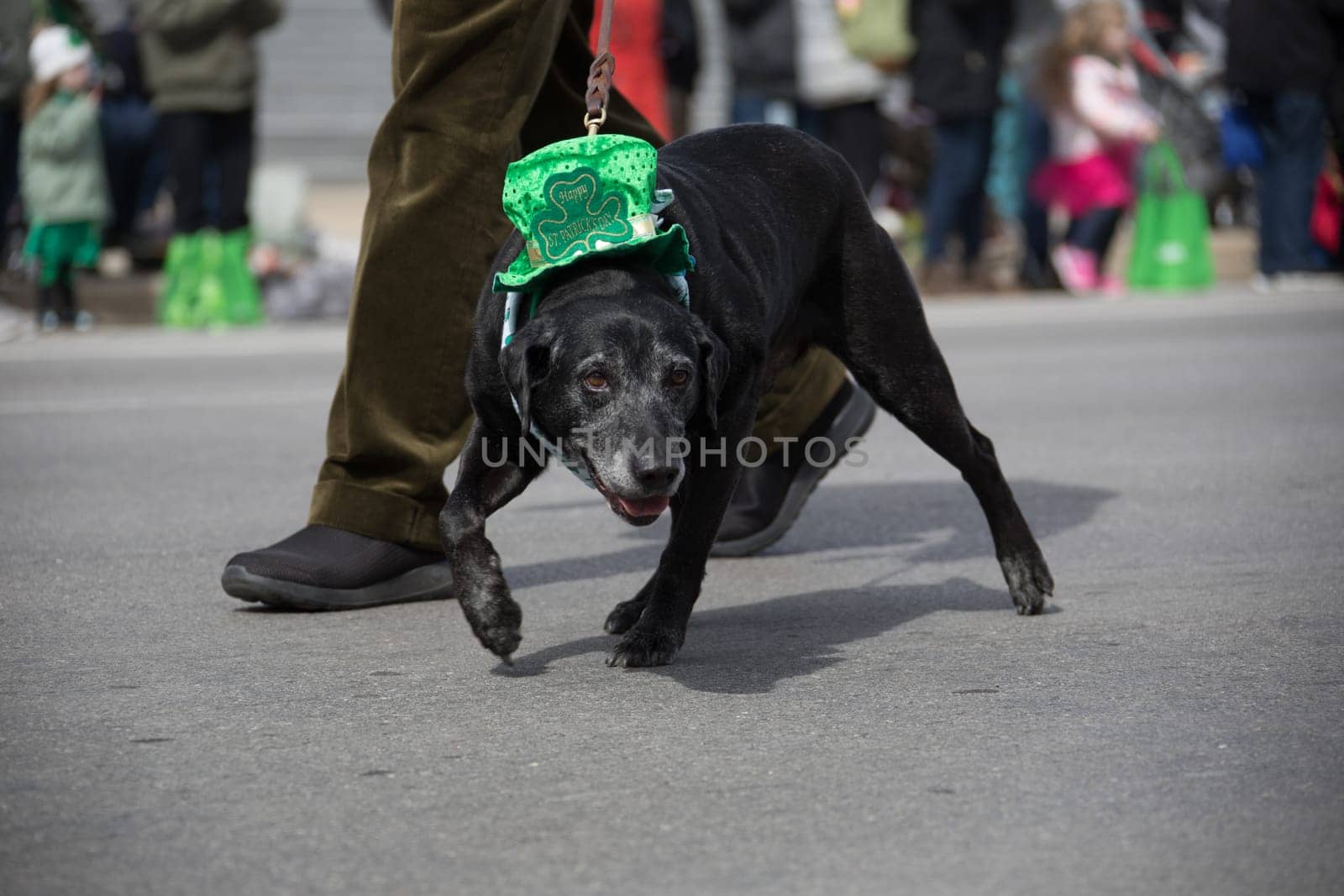 Indianapolis, indiana, USA - March 16, 2018, The St. Patrick’s Day Parade is a cultural and religious celebration from Ireland in honor of  Saint Patrick.