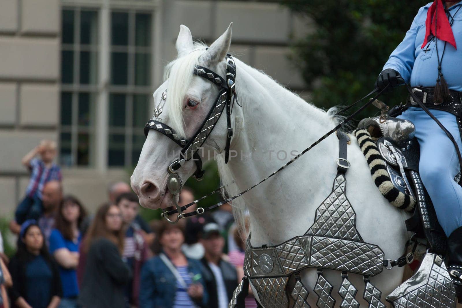 Washington, D.C., USA - July 4, 2016, The National Independence Day Parade is the  Fourth of July Parade in the capital of the United States, it  commemorates the adoption of the Declaration of Independence, only selected schools, and other groups participate.