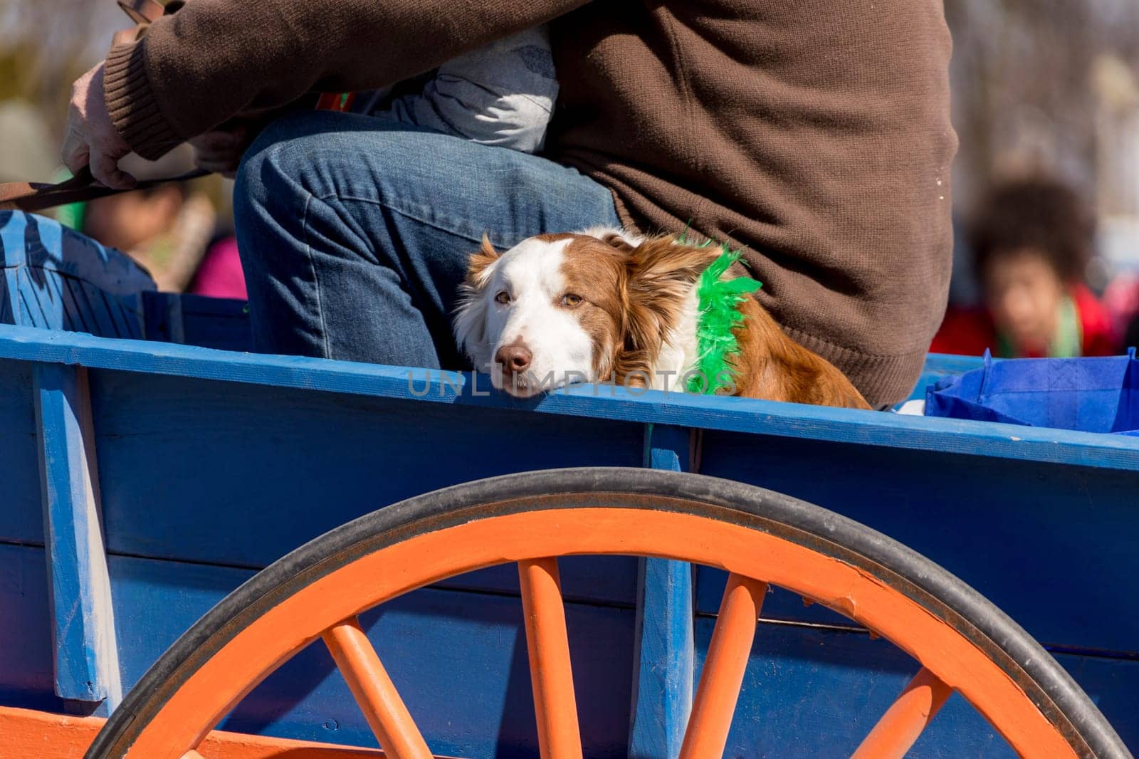 Chicago, Illinois, USA - March 17, 2018, The St. Patrick's Day Parade is a cultural and religious celebration from Ireland in honor of  Saint Patrick.