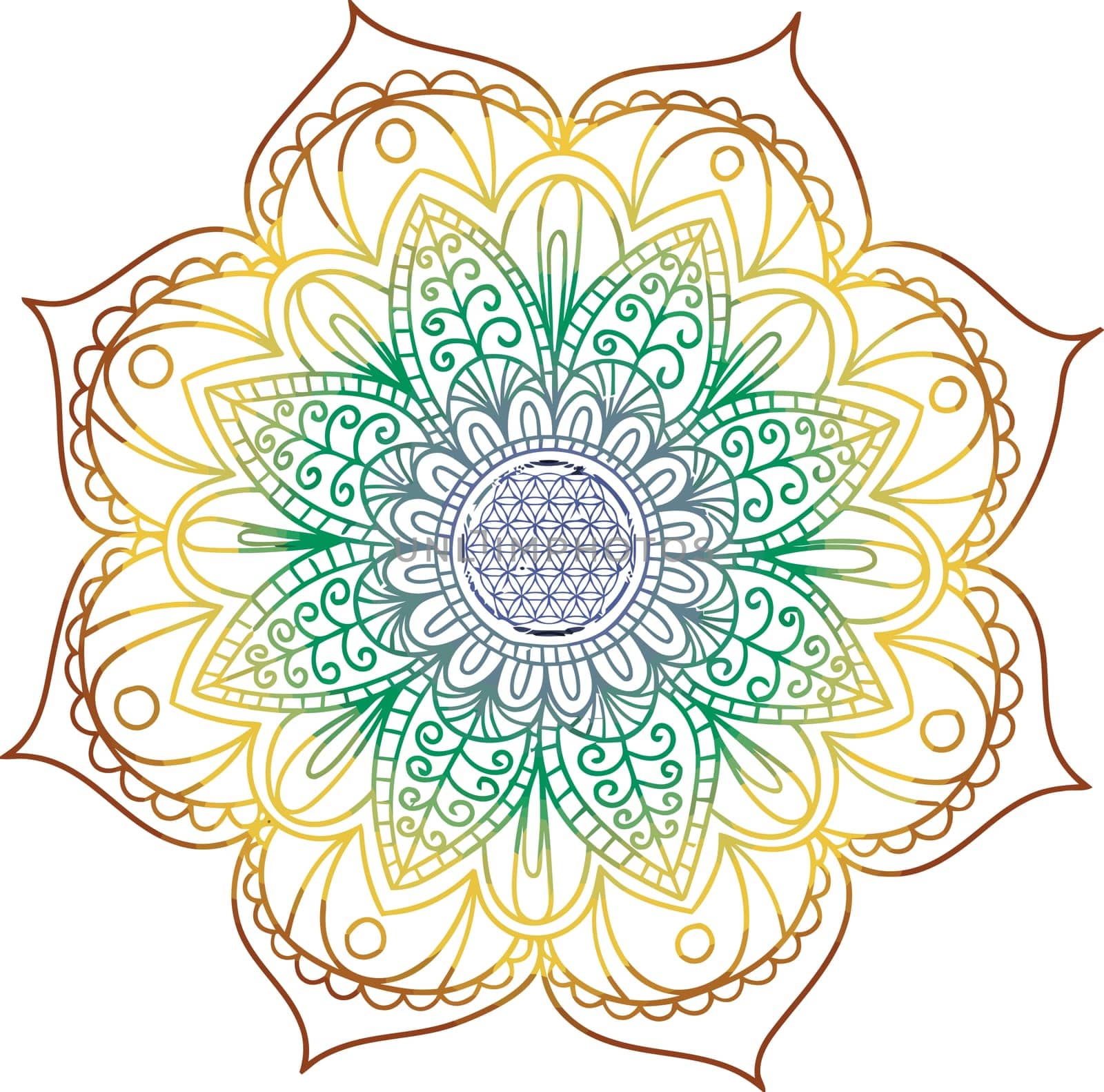 mandala yellow green red blue meditation lotus flower spirit holy buddha illustration