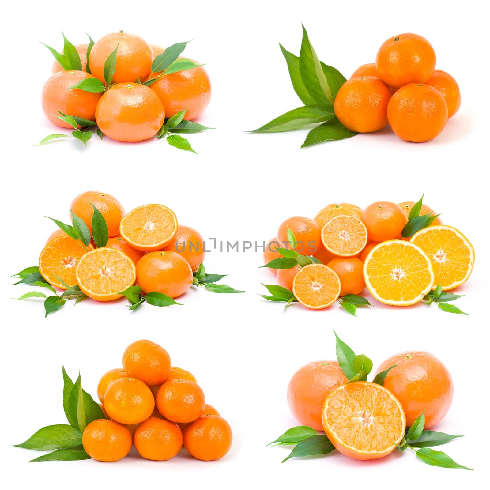 tangerines on white background - collage