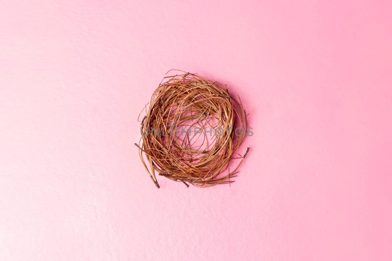 Empty nest over pink color background