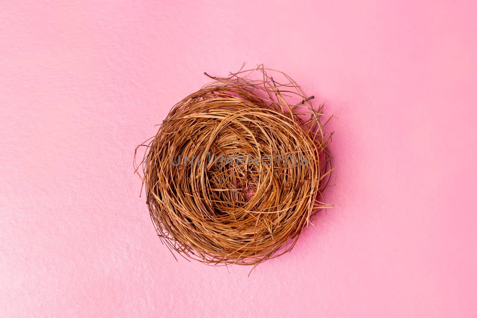 Empty nest over pink color background