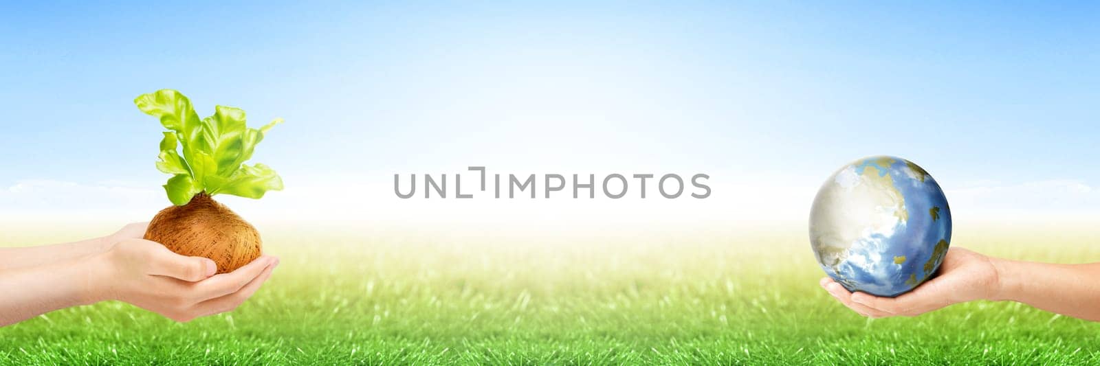 Two human hands holding young plant in the pots and earth planet on the green grass with blue sky background. Earth day concept