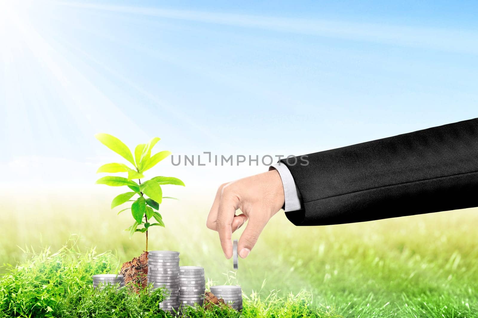 Businessman hand make a pile of coins beside young plant on green grass field. Profit beginning concept