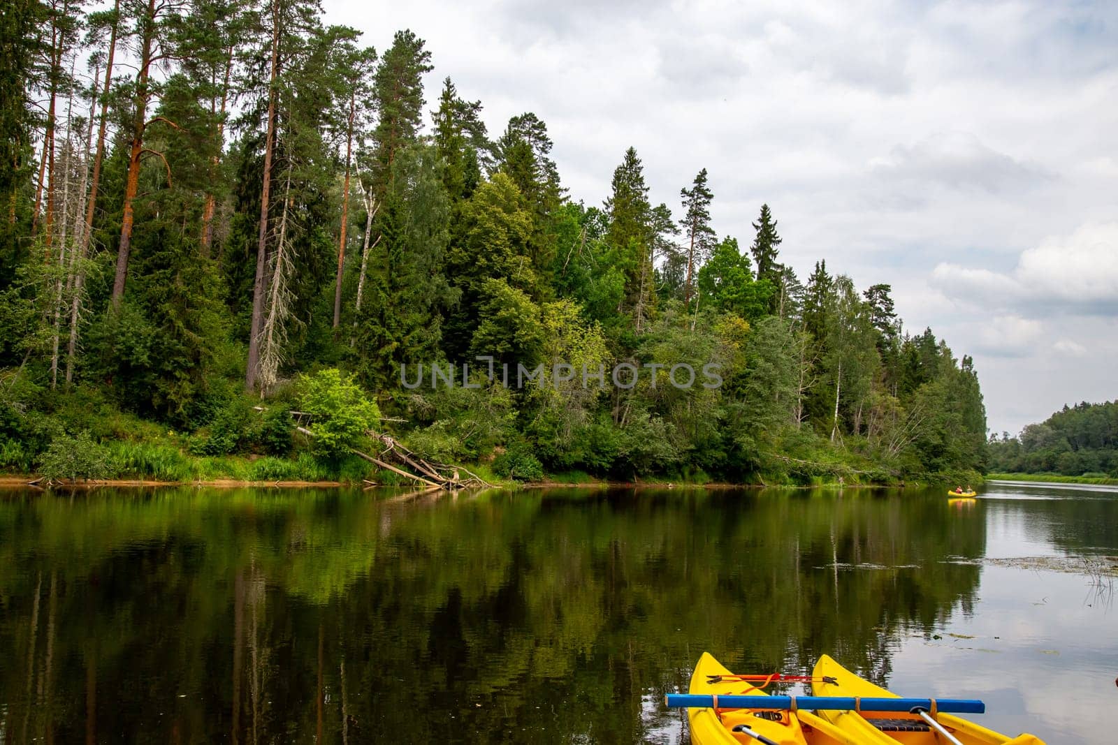 Kayak and canoe ride in river Gauja in Latvia. Boat ride by the river. Beautiful view of river from boat. The Gauja is the longest river in Latvia, which is located only in the territory of Latvia. Length - 452 km...