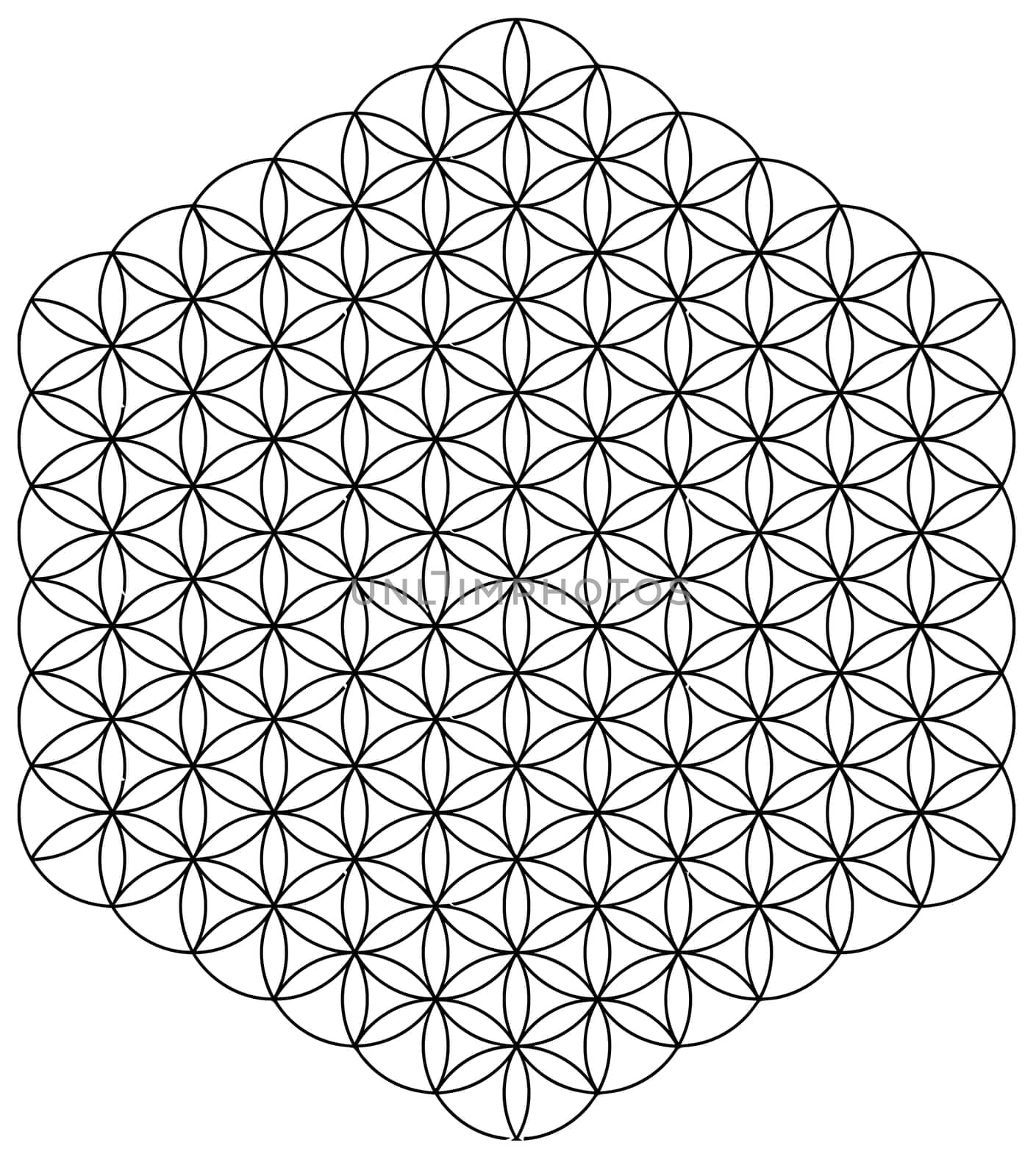 circles sacred symmetry esoteric hexagon illustration