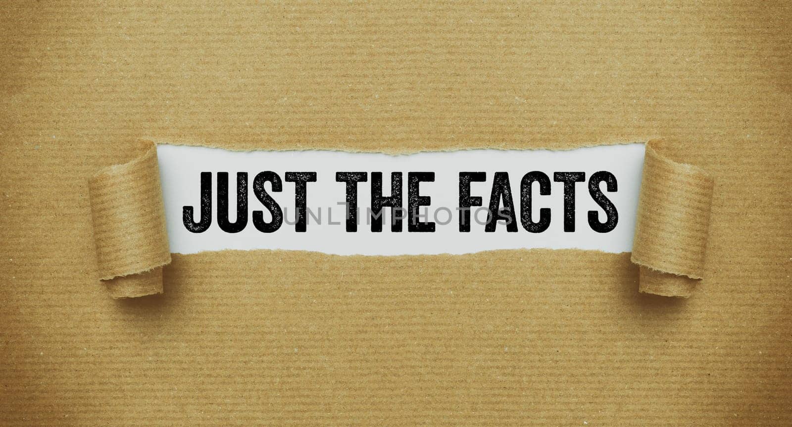 Torn brown paper revealing the words Just the facts