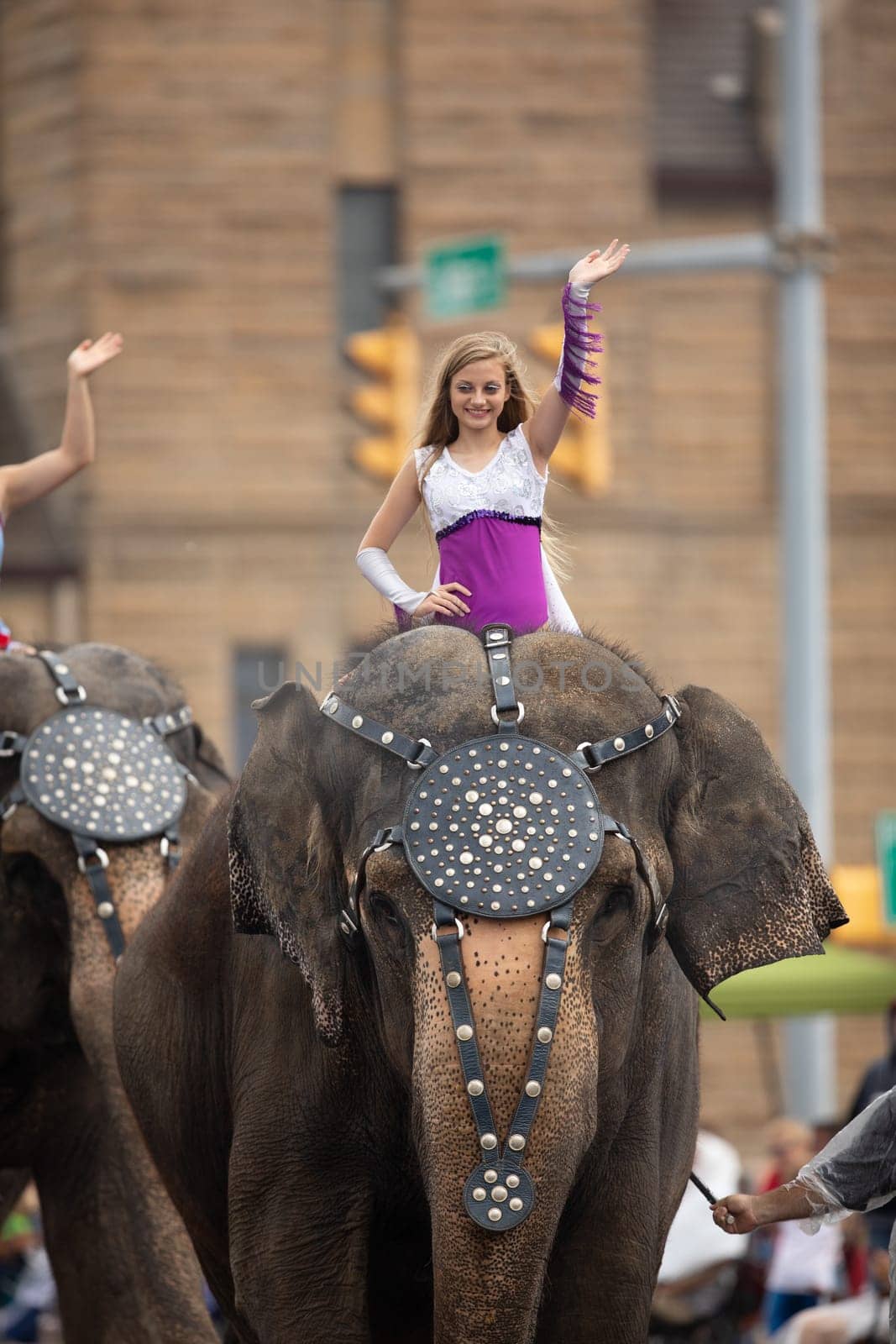 Peru, Indiana, USA - July 21, 2018 Young women riding elephants down the road at the Circus City Festival Parade