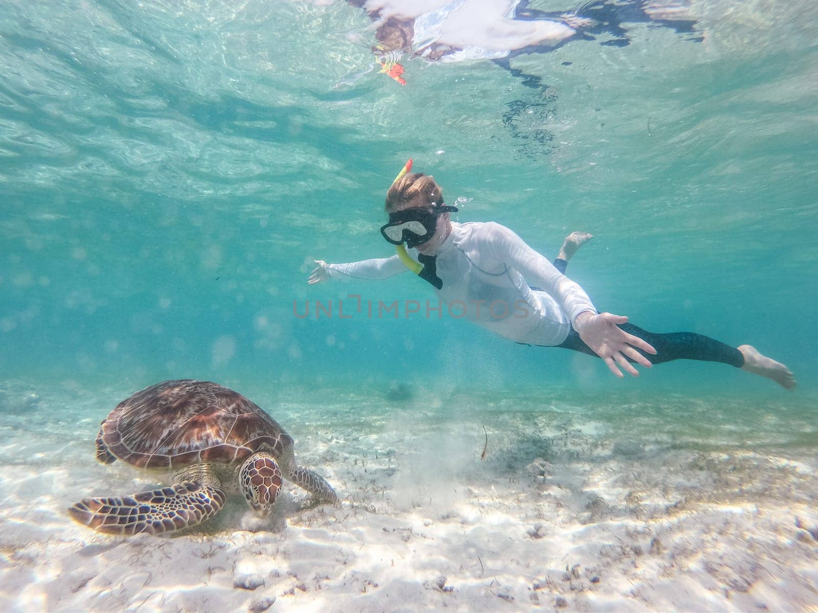Woman wearing snokeling mask swimming with sea turtle in turquoise blue water of Gili islands, Indonesia. Underwater photo. Hawksbill sea turtle, Eretmochelys imbricata is endangered species.