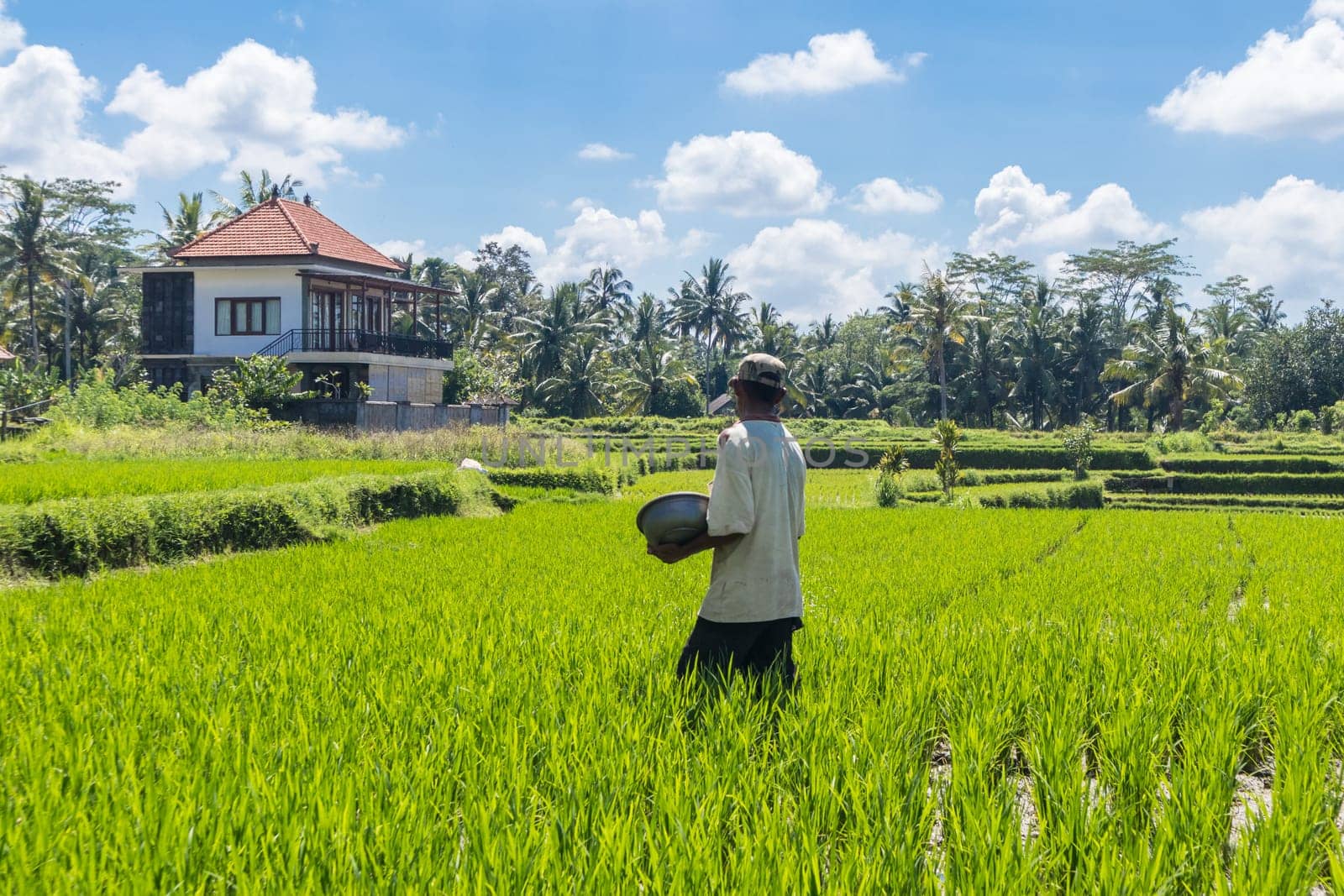 Unrecognizable male farmer working in beautiful rice terrace plantation near Ubud,Bali, Indonesia, south east Asia.
