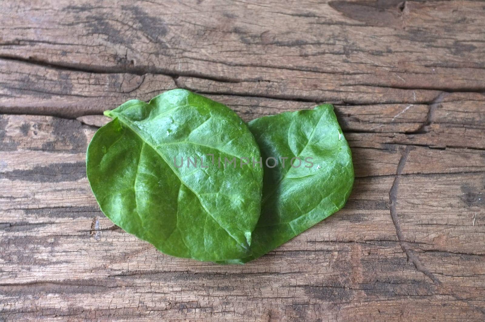 Heart symbol made Jasmine leafs . Concept love , Love mother