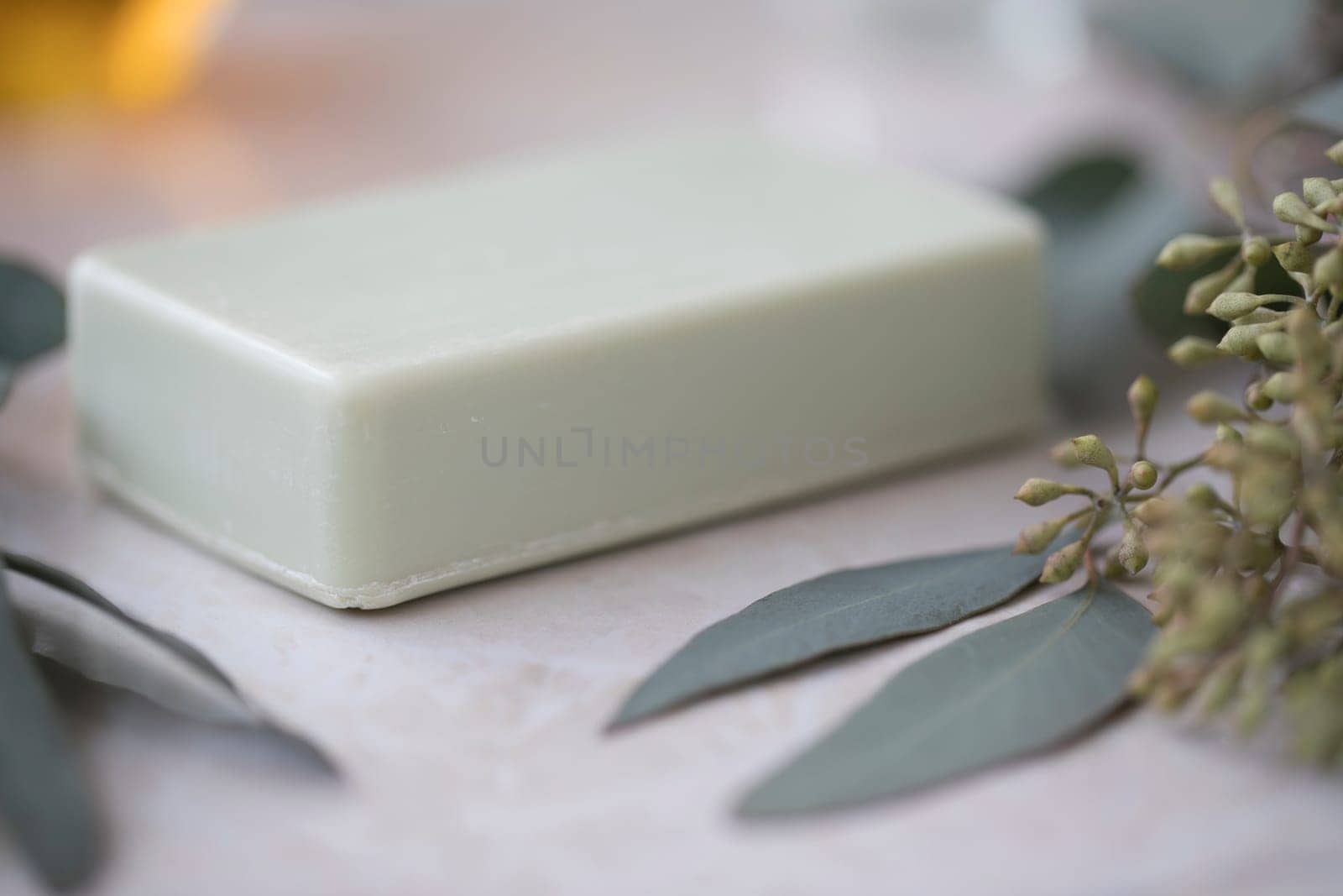 Bar of eucalyptus soap with fresh leaves.
