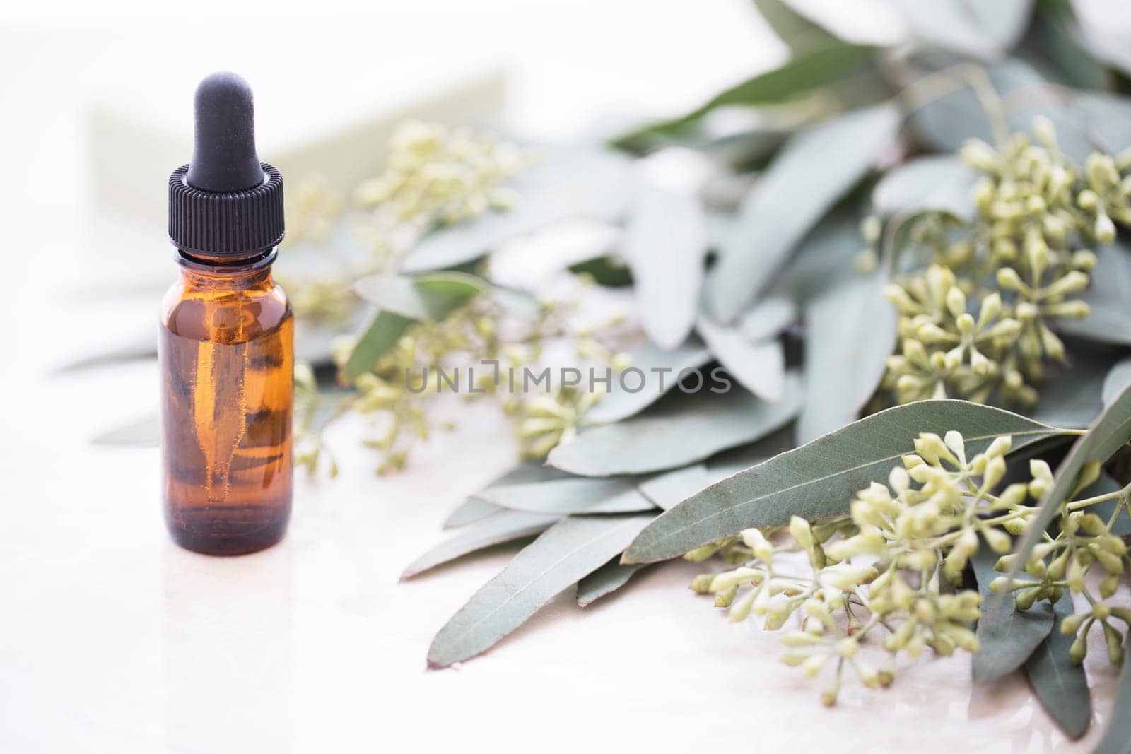 Bottle of eucalyptus oil with bar of soap and leaves.