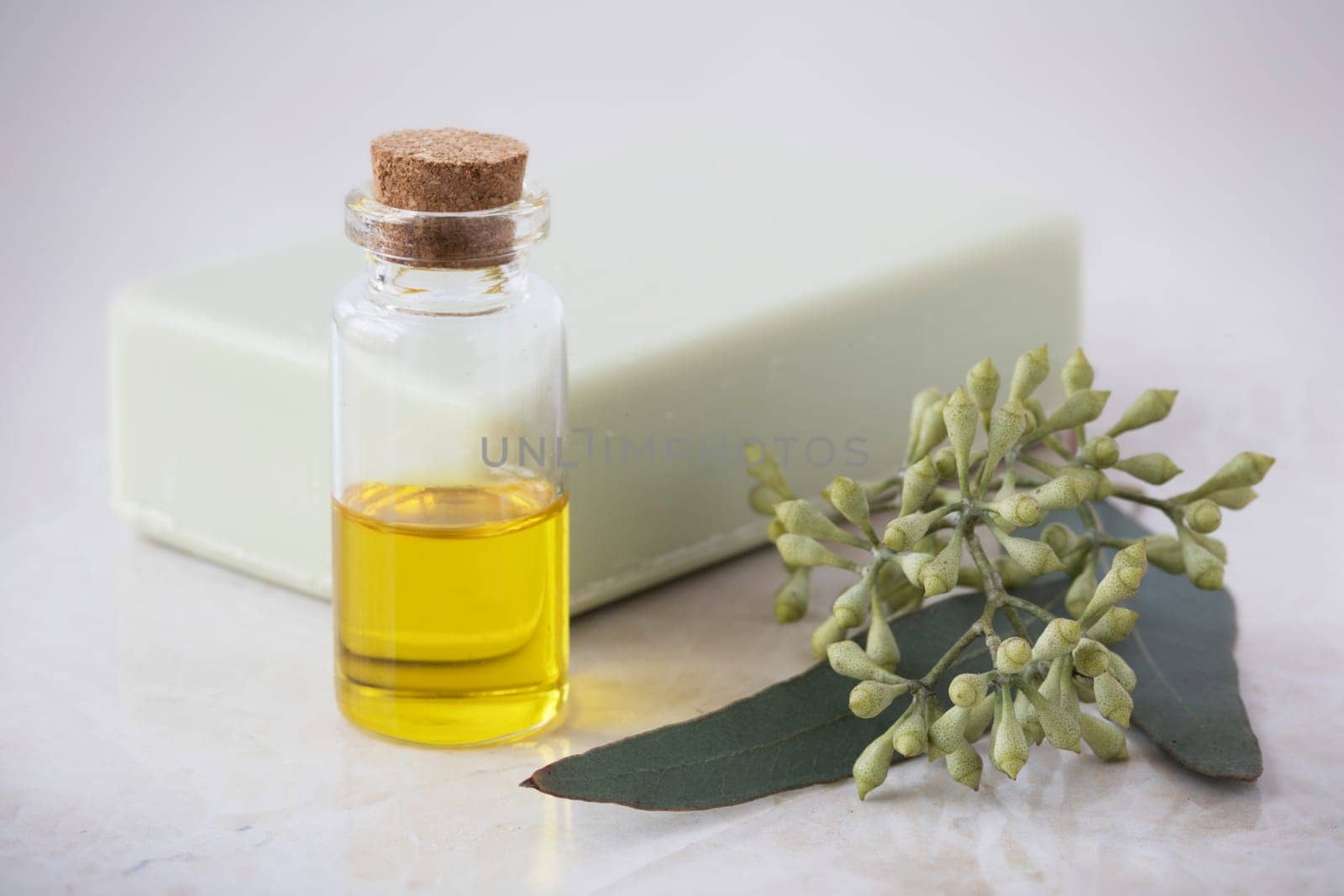 Bottle of eucalyptus oil with bar of soap and leaves.