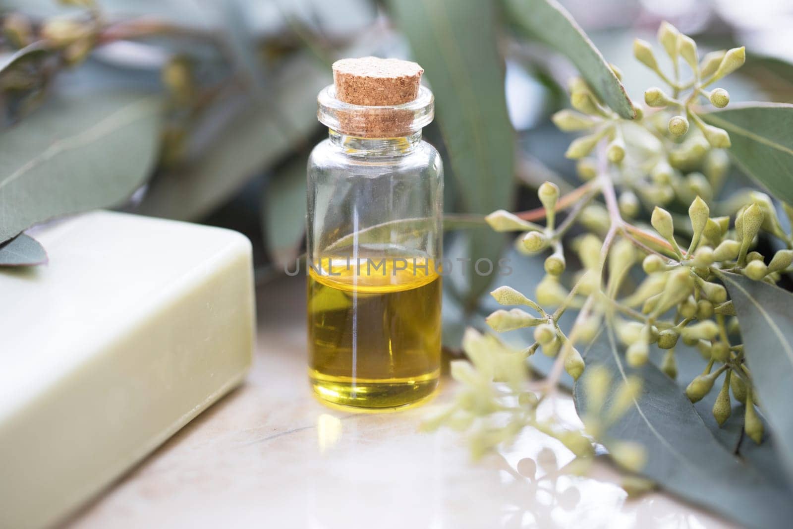 Eucalyptus oil in bottle with soap and leaves