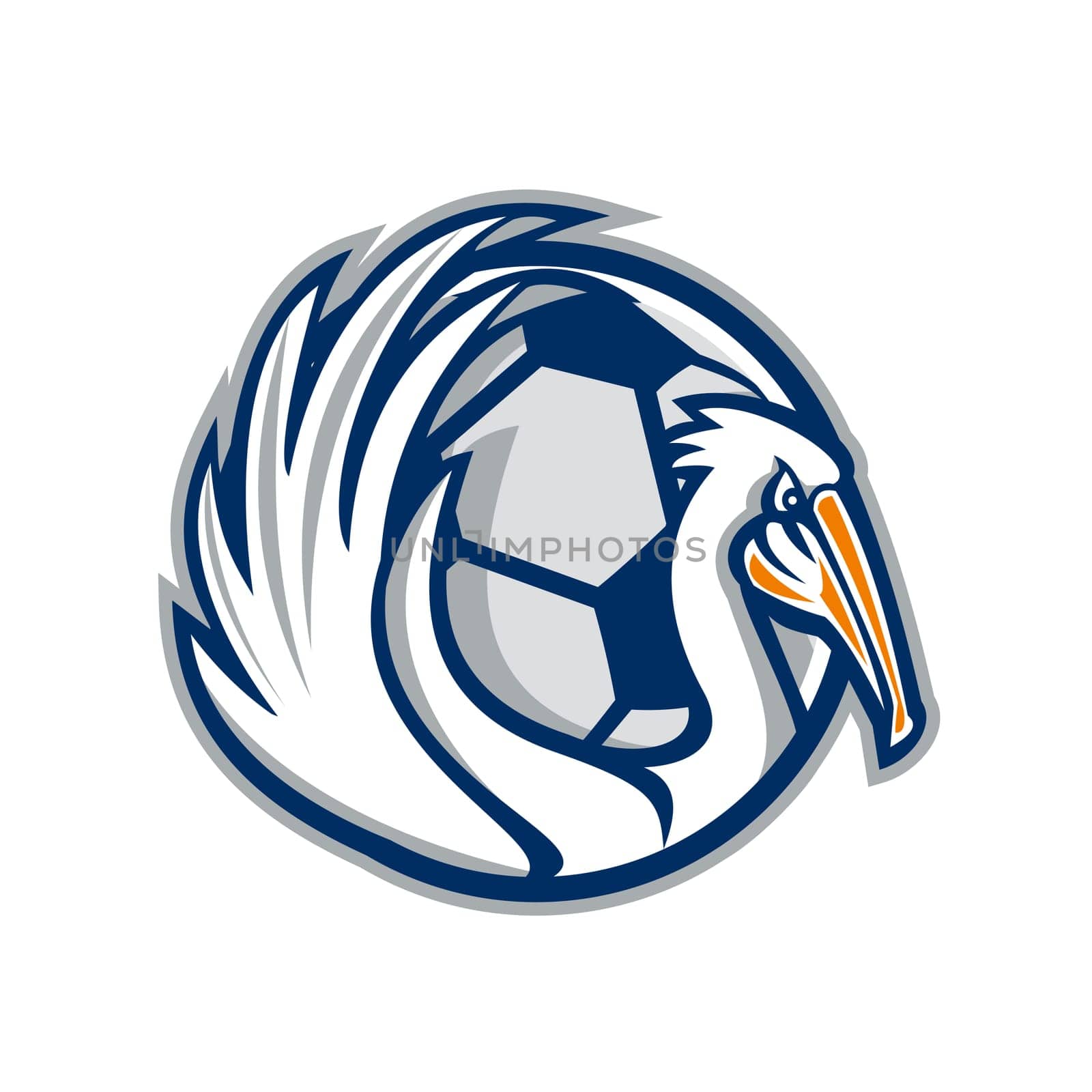 Illustration of a pelican showing its wings with soccer football ball in the background viewed from the side done in retro style.