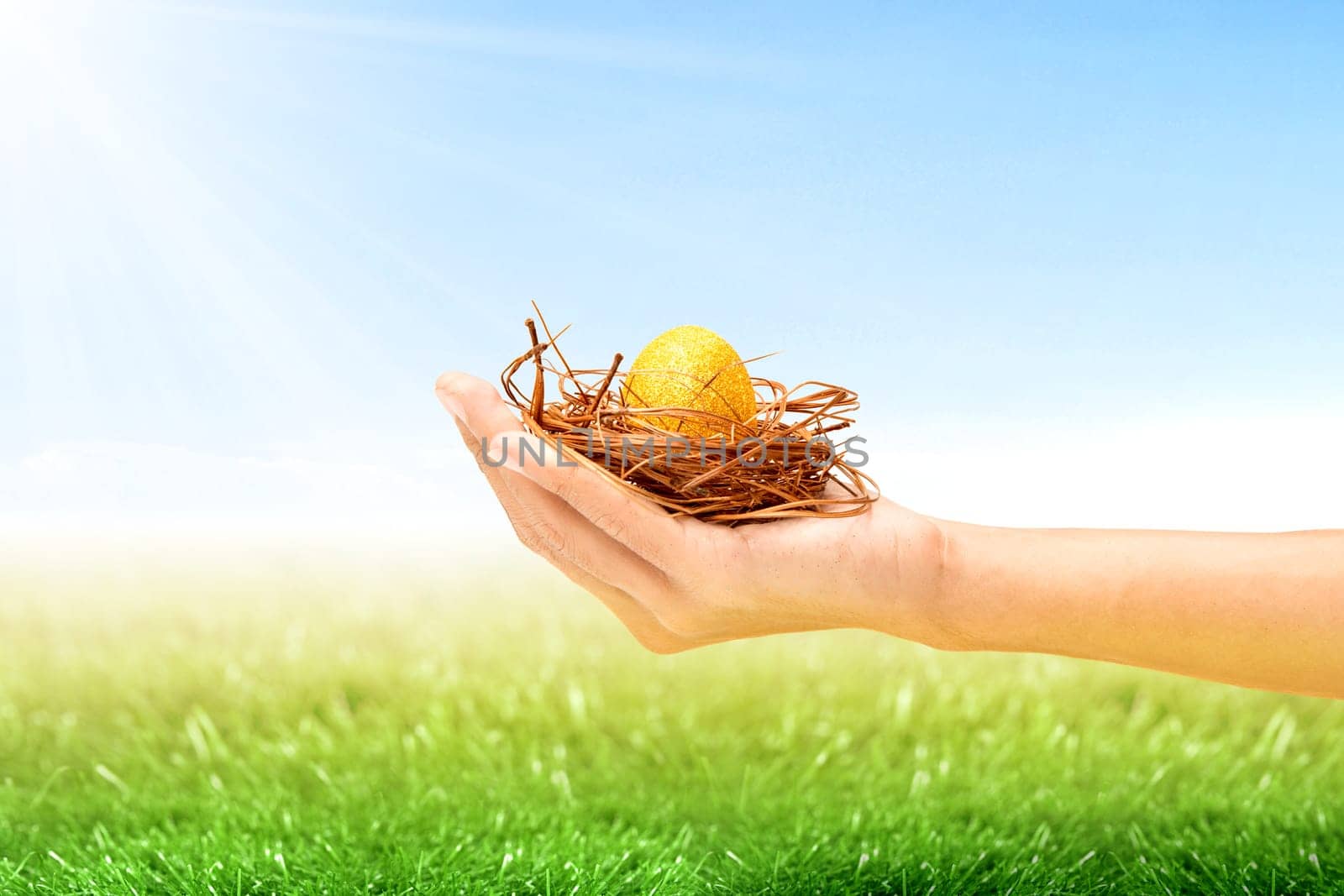 Human hand holding the nest with yellow easter egg on the grass field with sunlight and blue sky background. Happy Easter