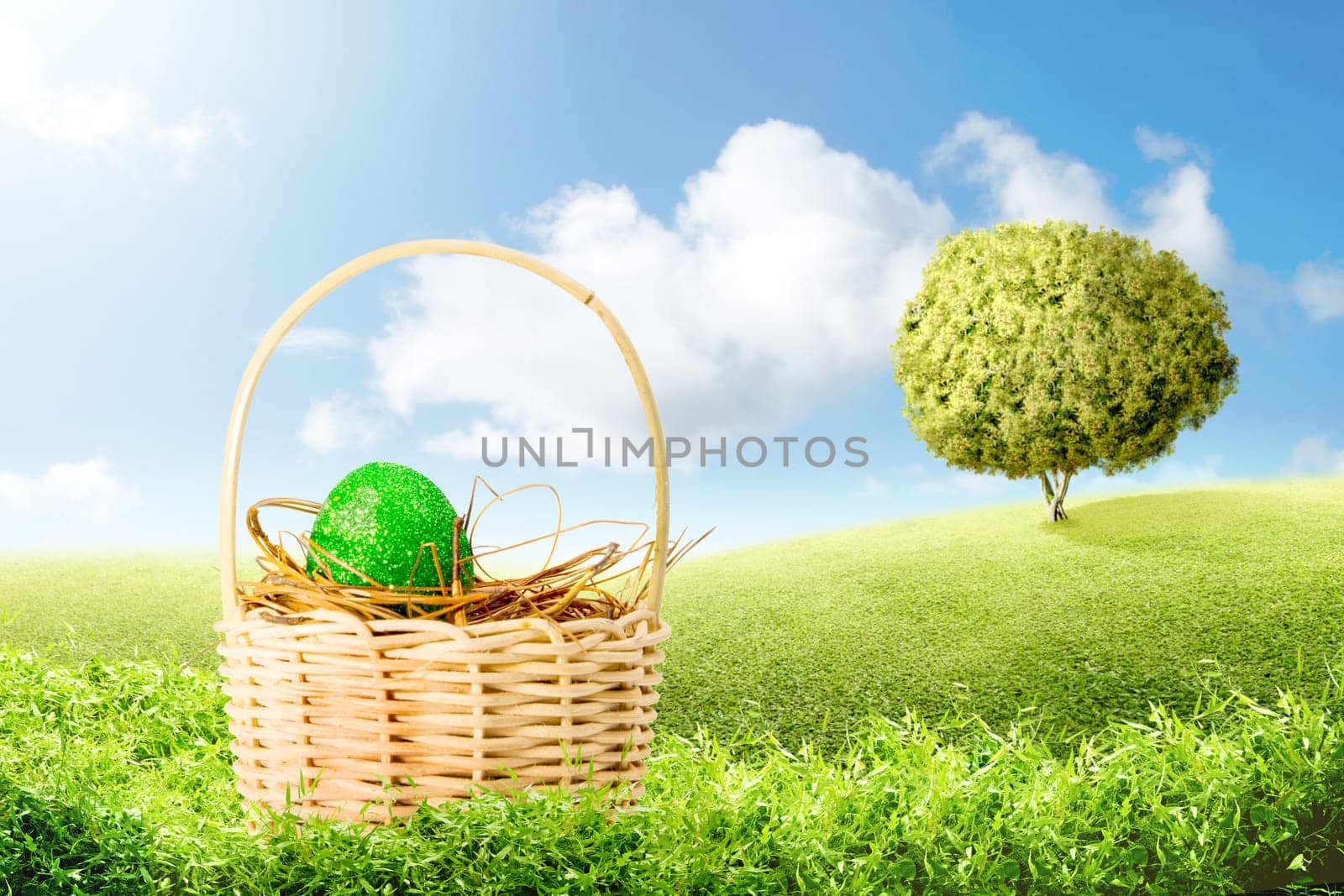 Green easter egg in the nest on wooden basket on the green grass with tree and blue sky background. Happy Easter