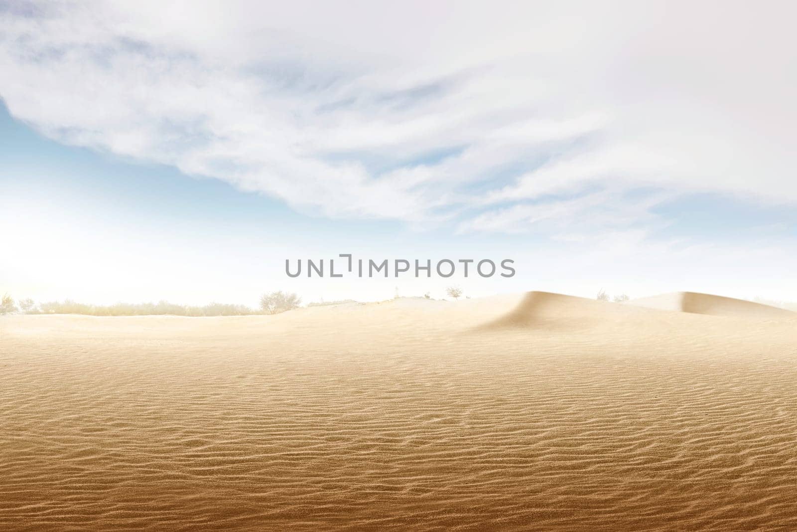 Views of sand dune with trees and blue sky background