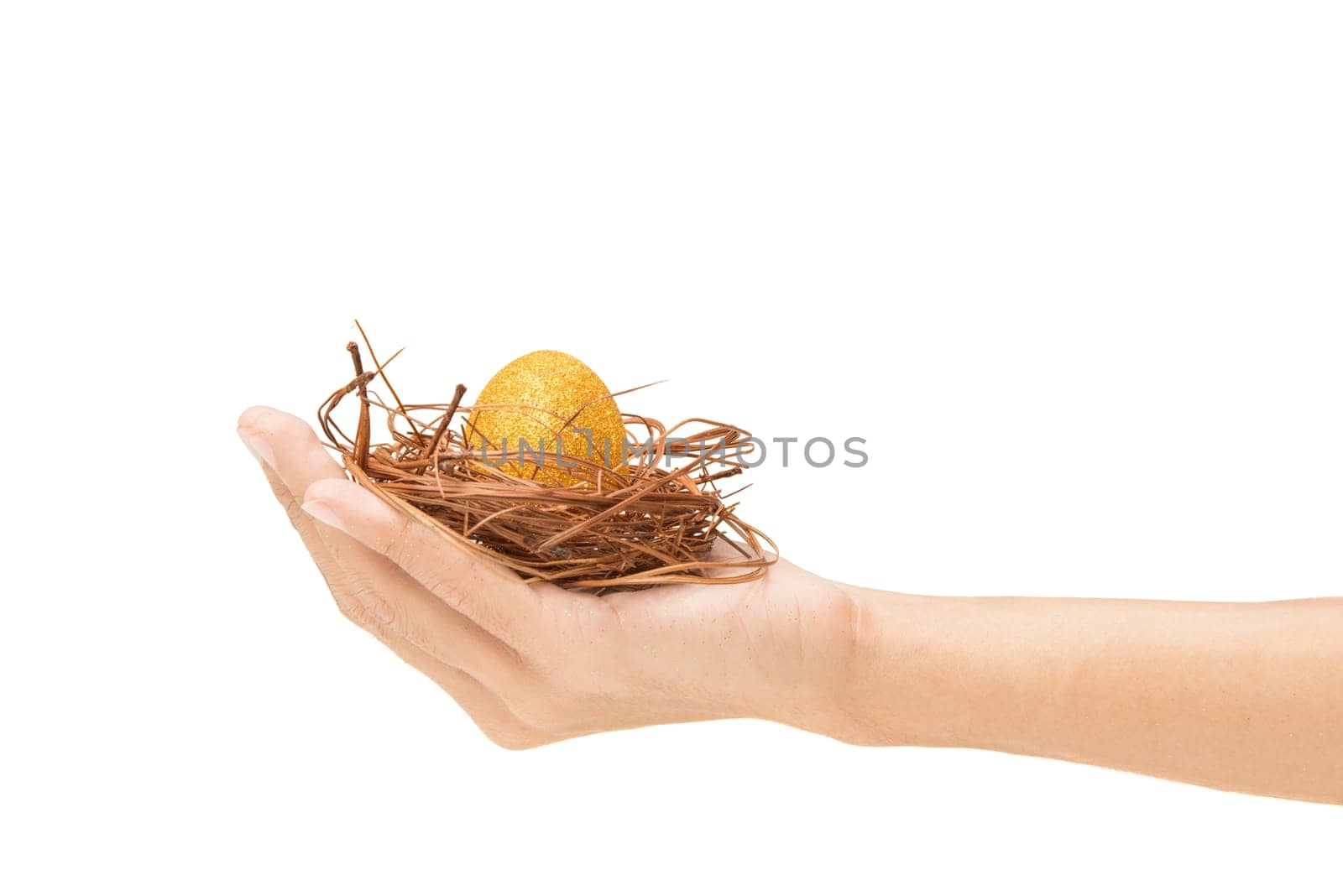 Human hand holding the nest with yellow easter egg isolated over white background. Happy Easter