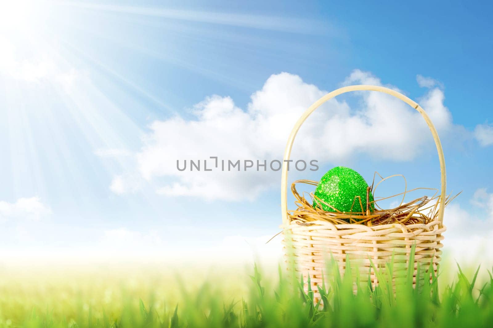 Green easter egg in the nest on wooden basket on the grass field with sunlight and blue sky background. Happy Easter