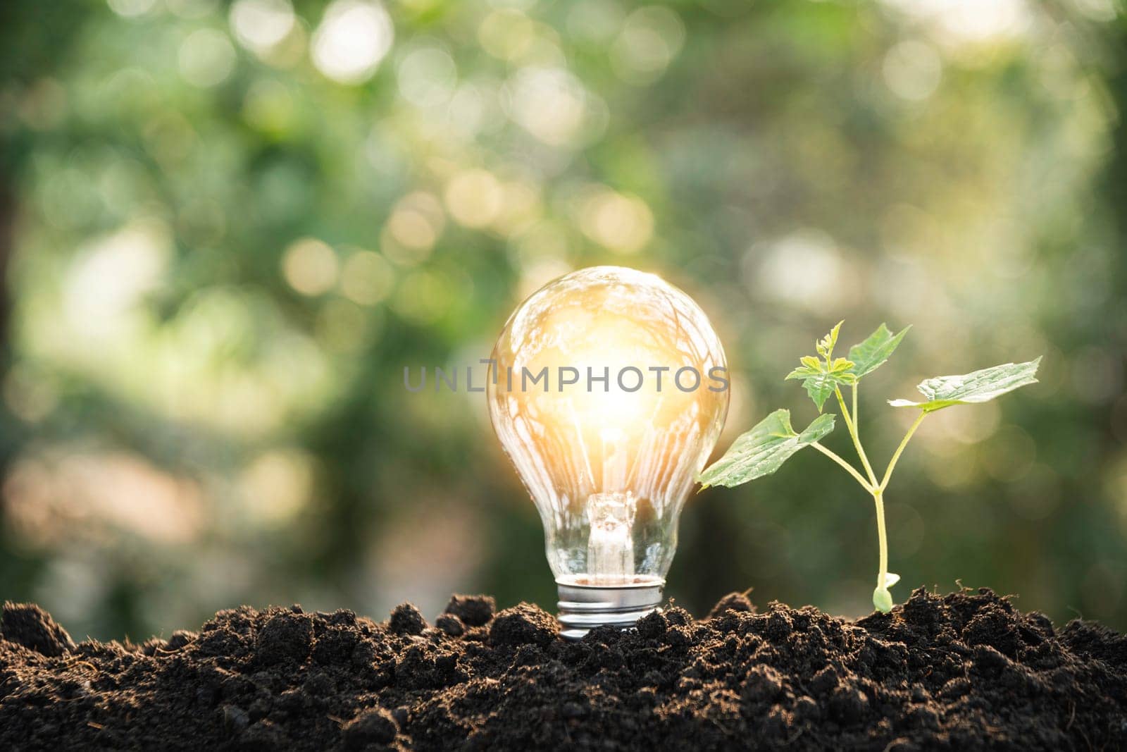 Light bulbs with glowing one. technology and creativity concept with light bulbs and copy space for insert text