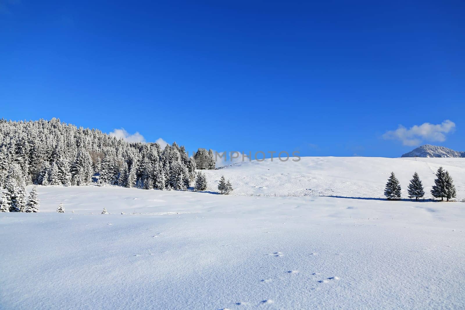 Sonthofen is known for its beautiful landscape and winter landscapes