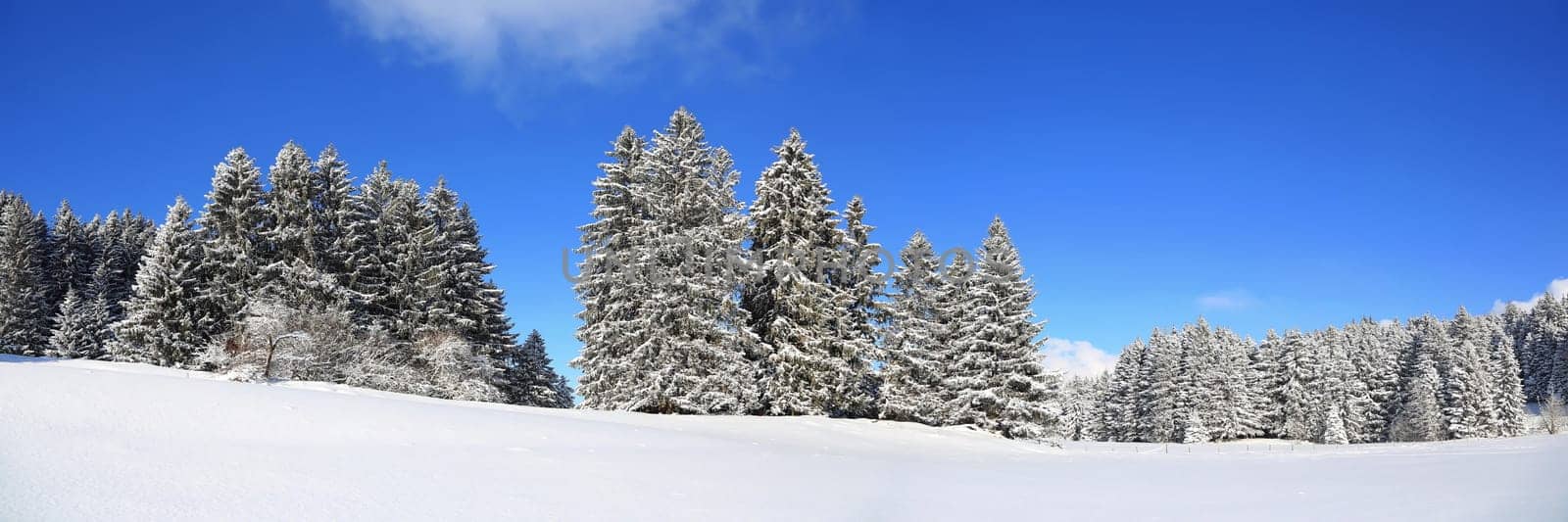 Sonthofen is known for its beautiful landscape and winter landscapes
