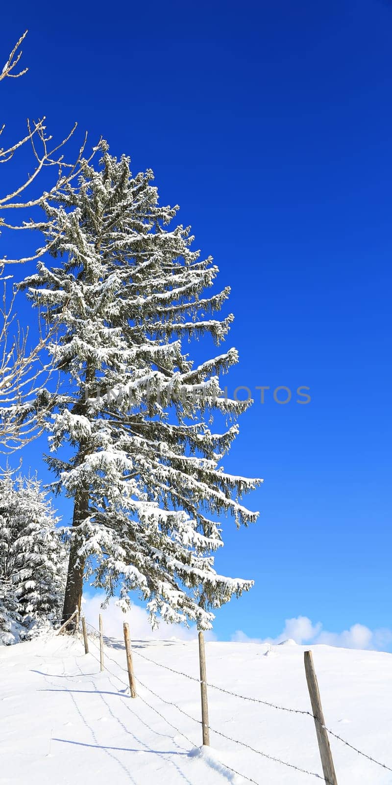Sonthofen is known for its beautiful landscape and winter landscapes