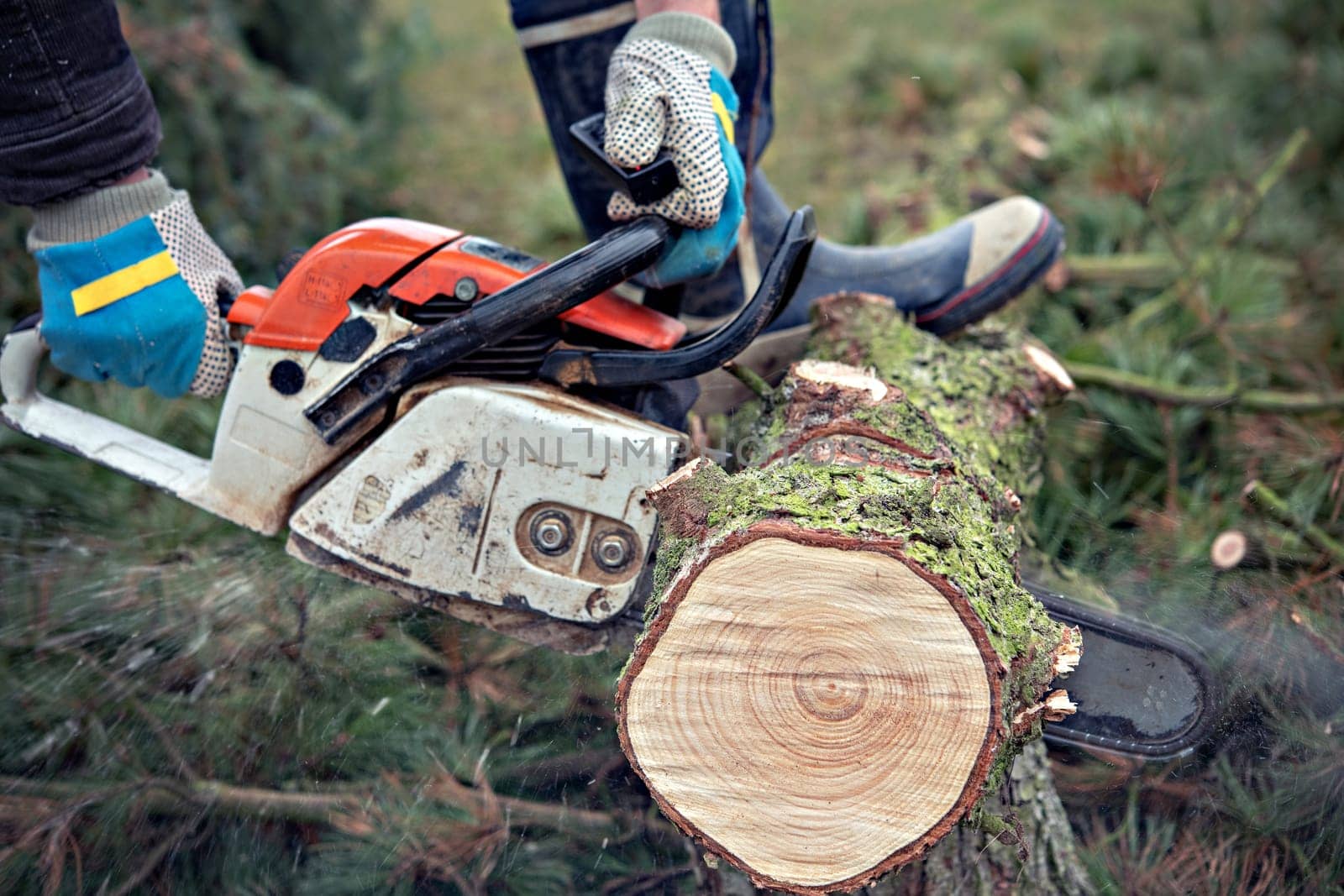 lumberman with worn chainsaw cutting wood