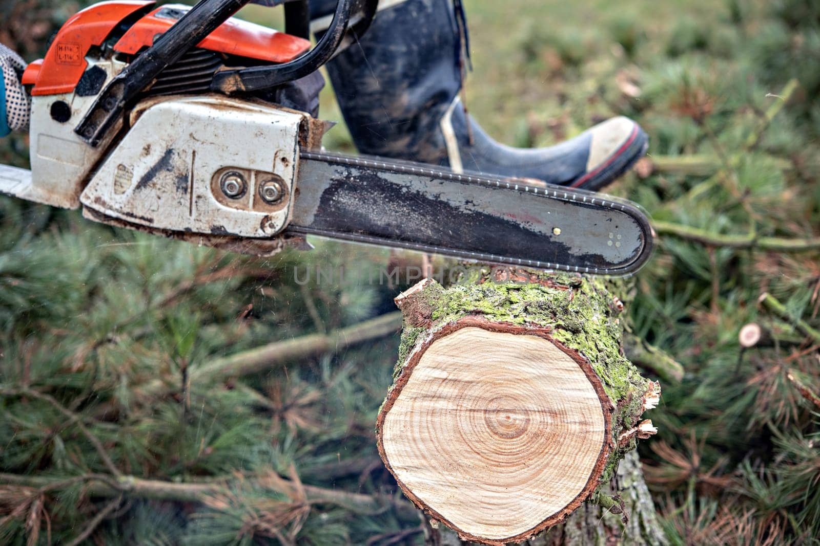 lumberman with worn chainsaw cutting wood