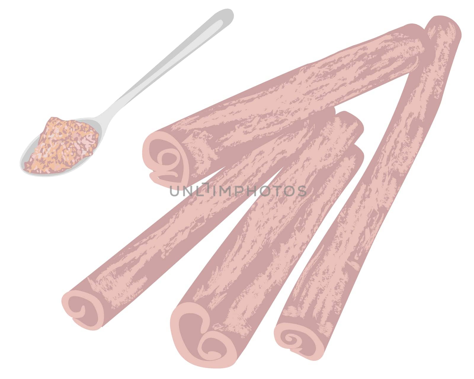 Cinnamon sticks and condiment powder in a spoon  vector illustration on a white background