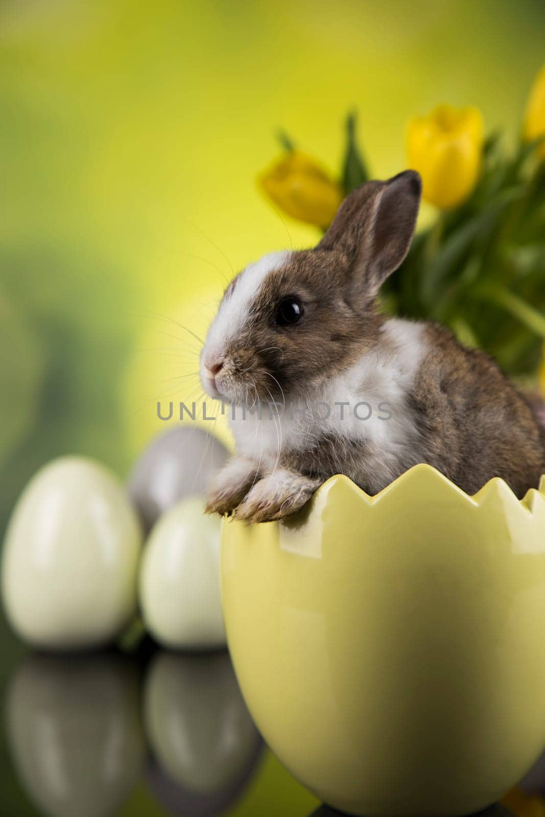 Baby bunny and egg on tulip flowers background