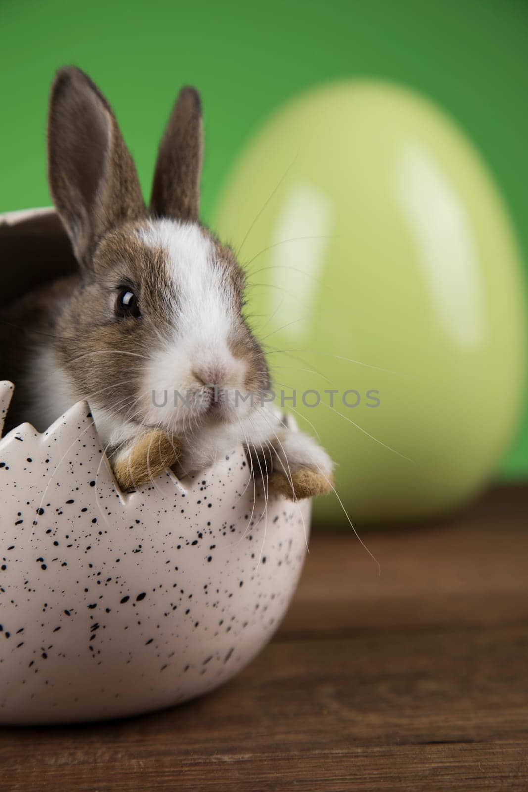 Bunny with Easter eggs on green background