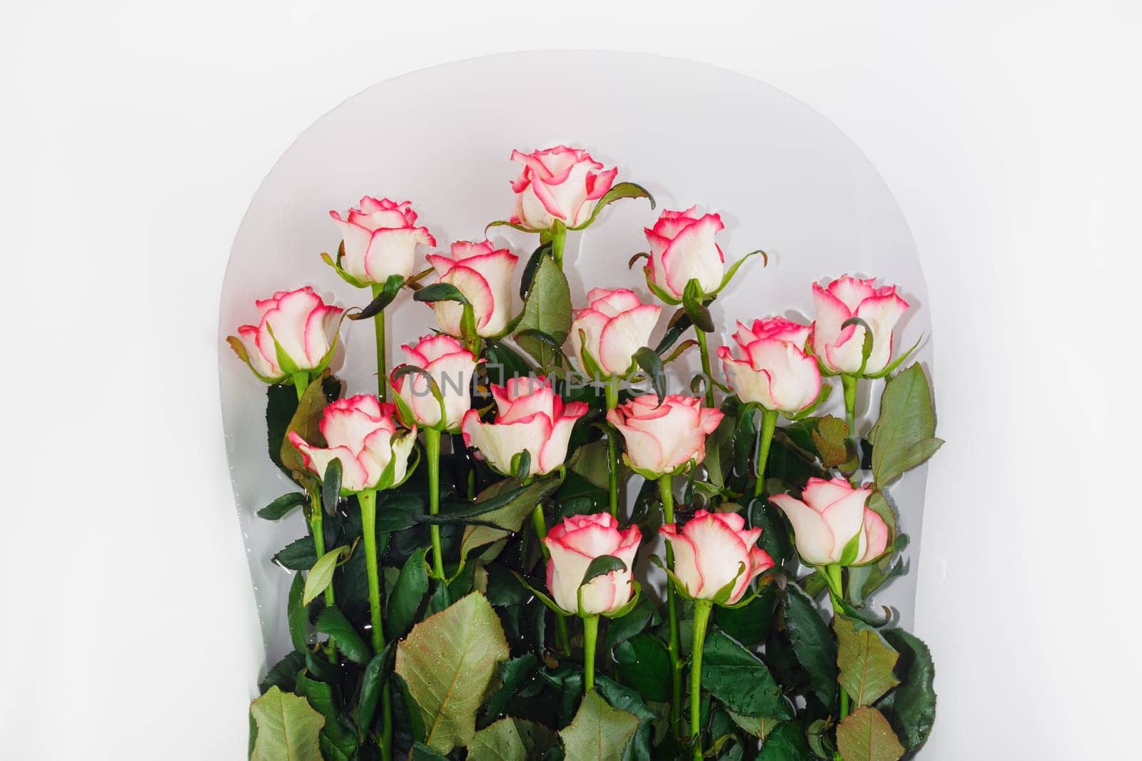 Pink roses flowers in a bath with water.