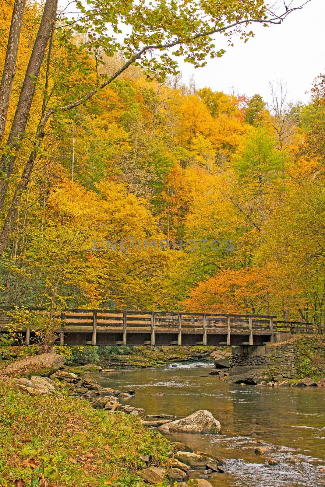 Rural Bridge in a Fall Forest over Deep Creek in the Great Smoky Mountains in North Carolina