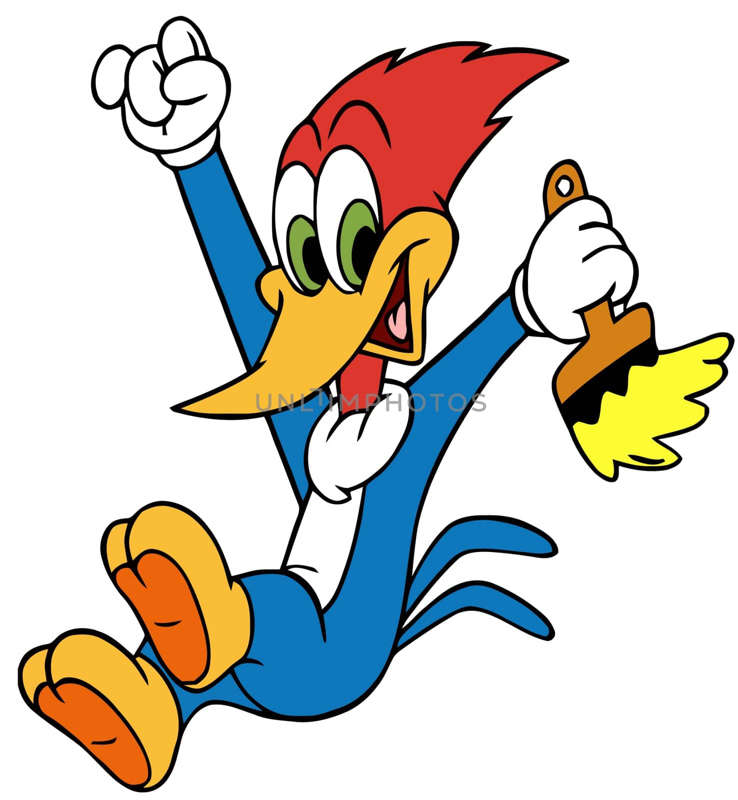 character woody woodpecker illustration bird cartoon painting
