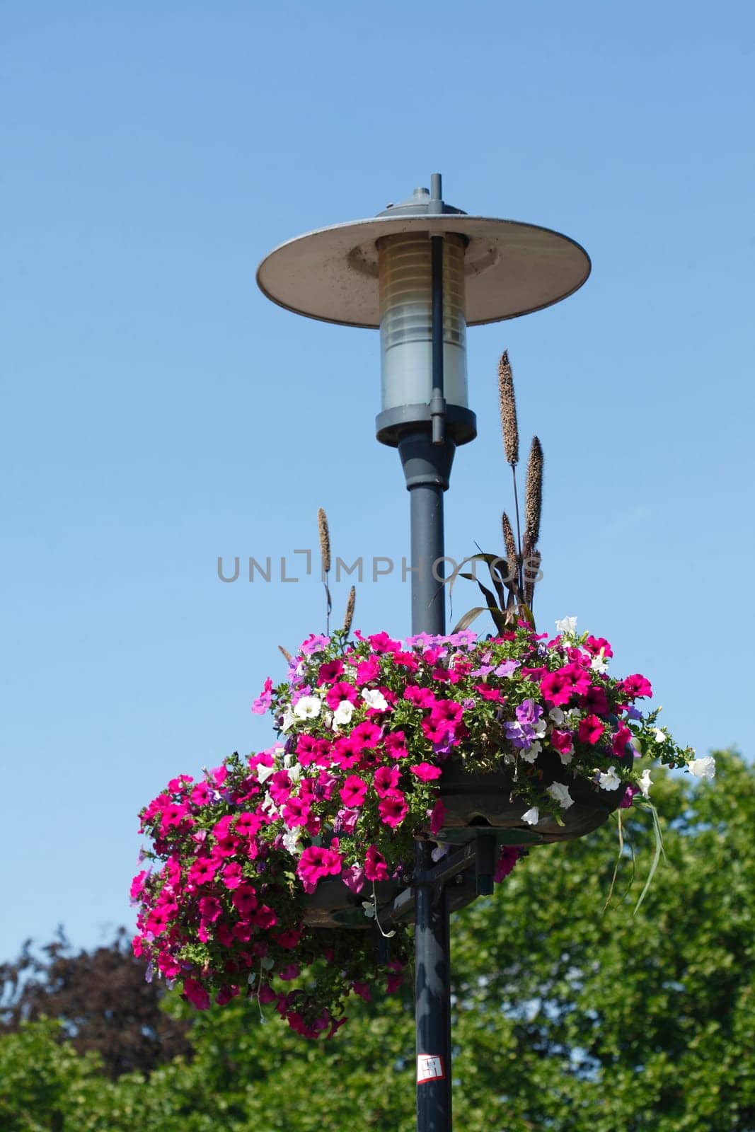 decorated with flower tubs street lamp with blooming red summer flowers, Saarbruecken, Saarland, Germany, Europe