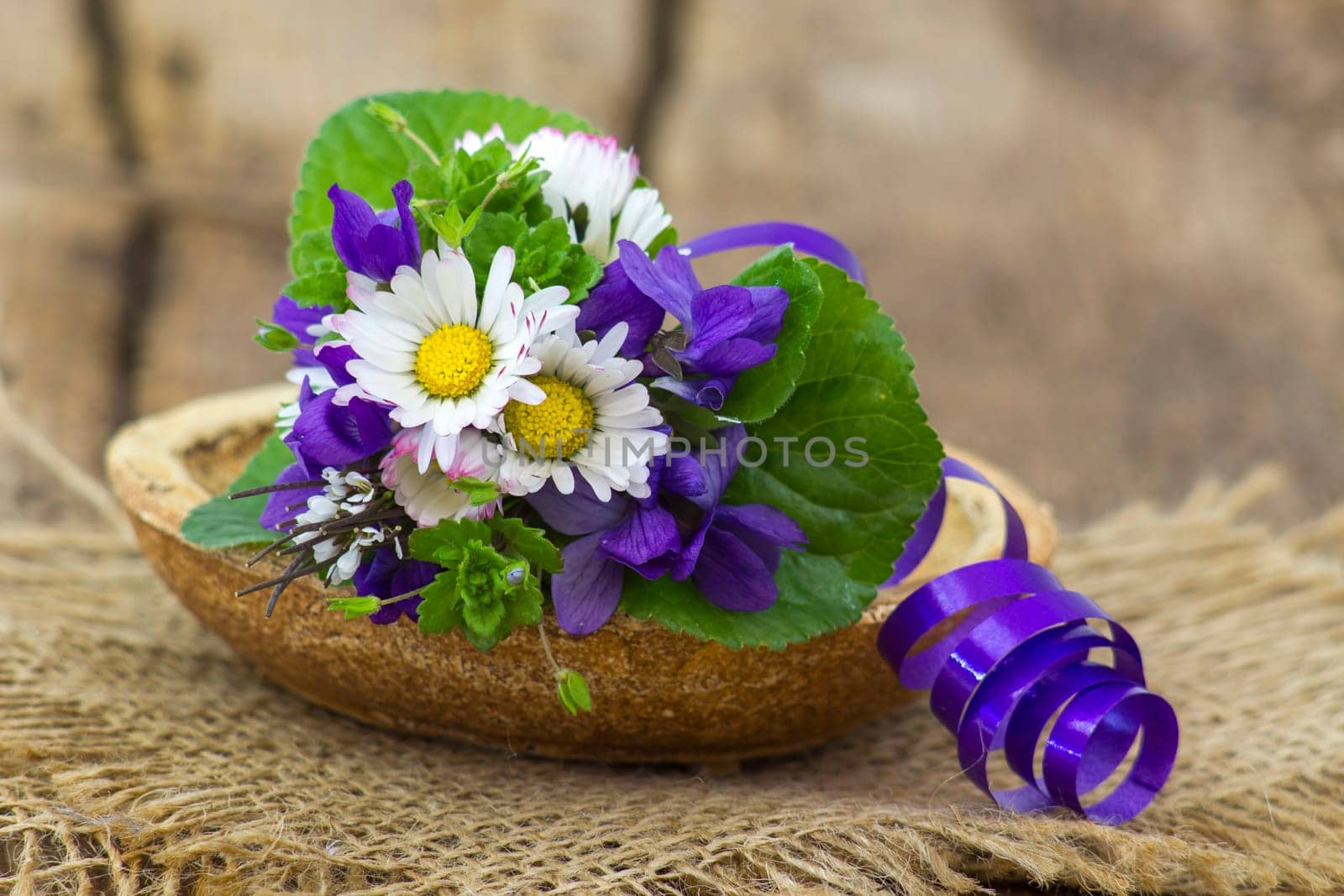 Viola odorata and daisies -  spring flowers bouquet