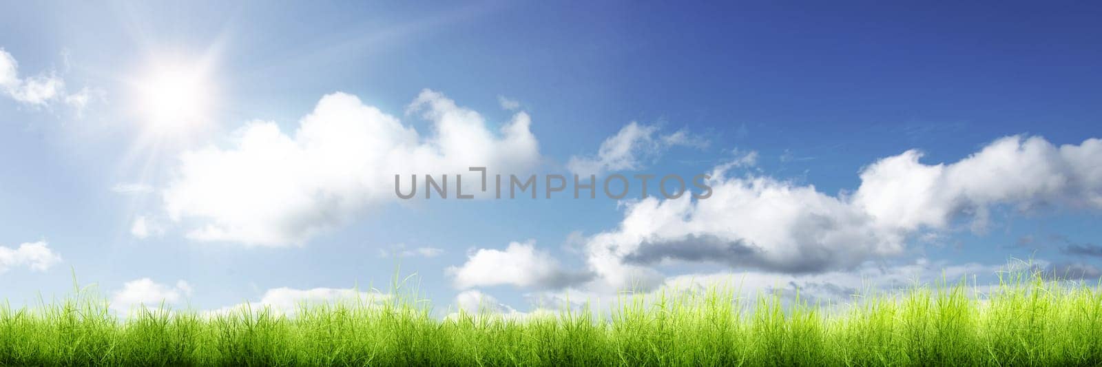 Panorama of green grass and sunlight with blue sky background