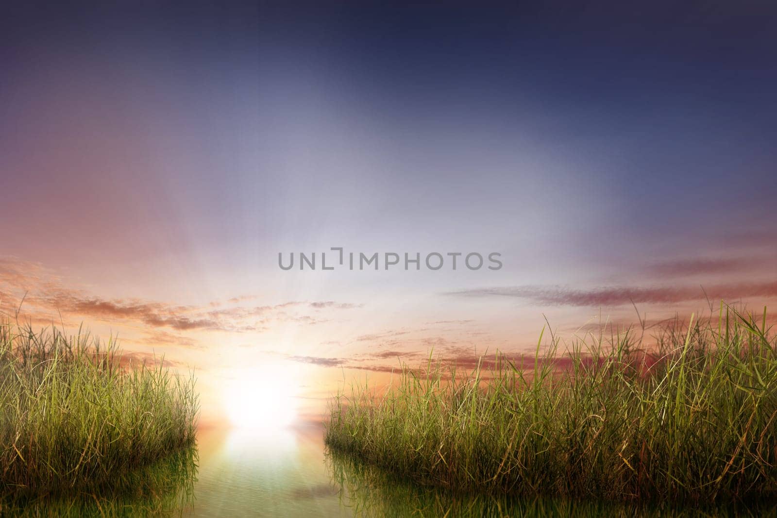Panoramic views of rivers with green plants and sunlight over sunset background
