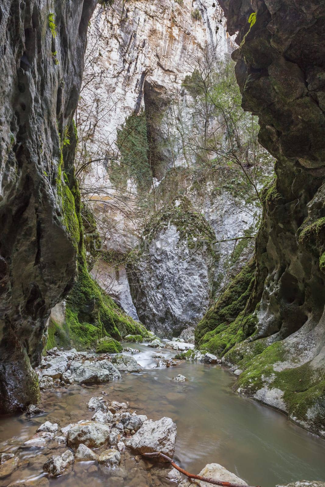 stream Ponicova in Ciucaru Mare Mountains, Romania