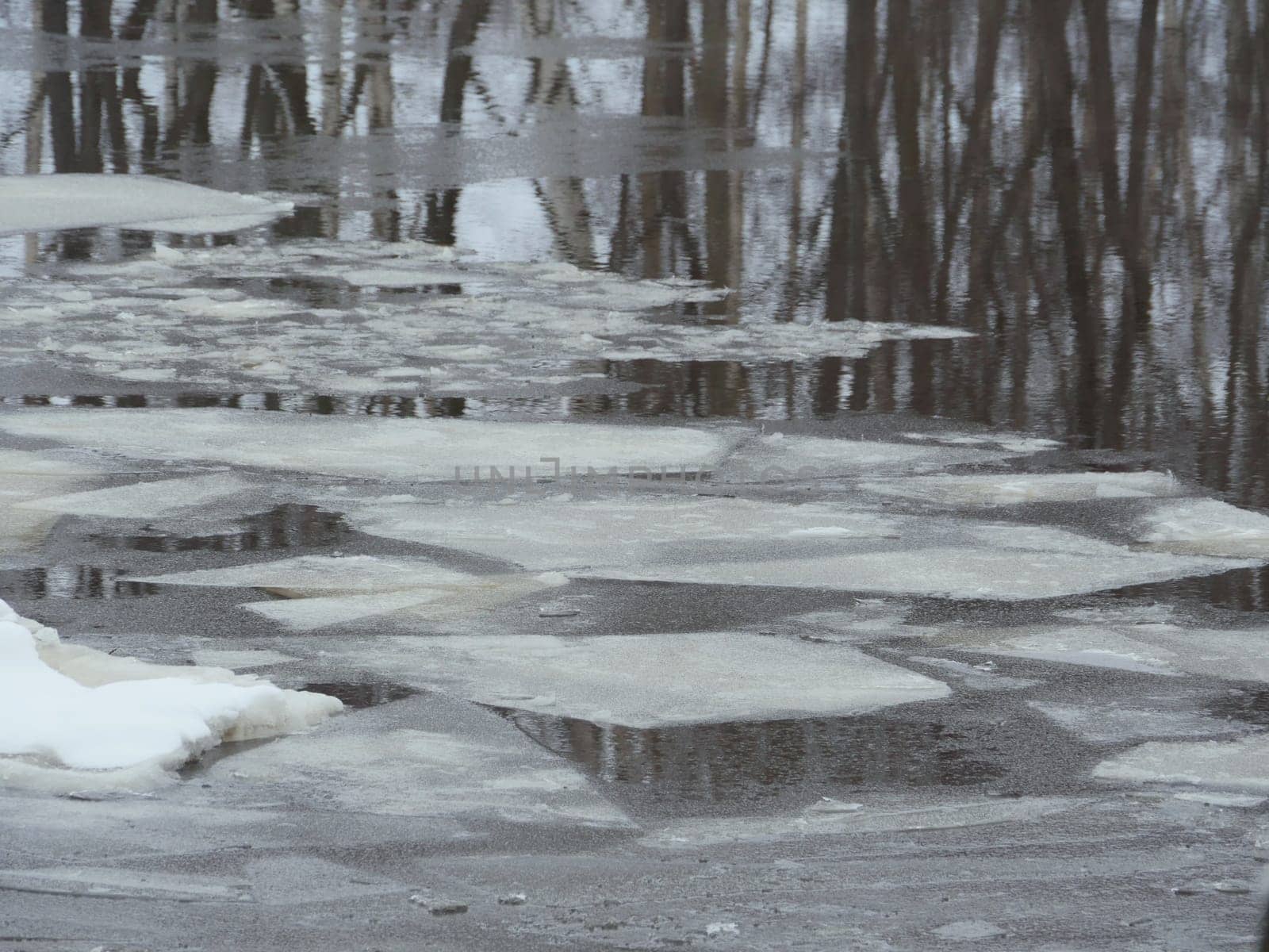 ice winter river tree reflected in the water